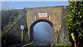 Misty railway bridge, Seapark, Holywood (January 2016)