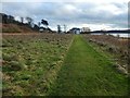 NS3875 : Path in Havoc Grassland by Lairich Rig