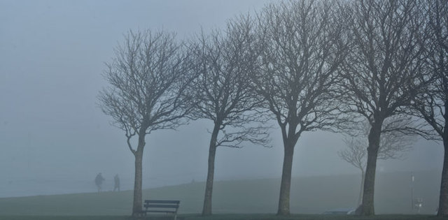 Coastal mist, Seapark, Holywood - January 2016(4)