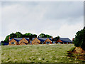 Pasture and new housing near Horse Bridge, Staffordshire