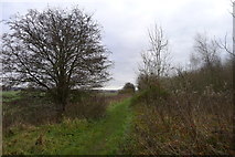 SE8510 : Footpath between Gunness and Scunthorpe by Tim Heaton