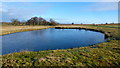 Pond on the common