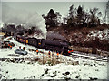 SD8010 : Flying Scotsman at Bury, January 2016 (Scotsman in Steam Weekend) by David Dixon