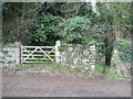 Gate and footpath opposite the church, Mabe