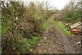 Footpath at Great Wacton