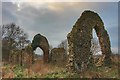 TG3006 : Ruin of the church of St Saviour Surlingham by Inkedmik