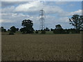 Crop field, Chantry Corner