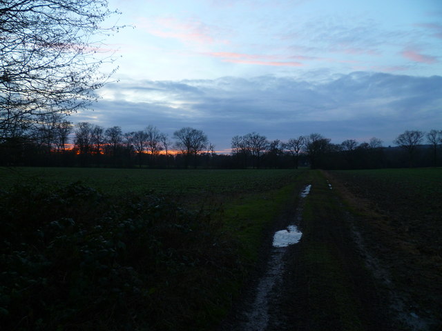Muddy and icy path at sunset