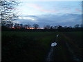 Muddy and icy path at sunset