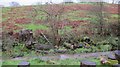 A small stream in flood below Winterhead Farm