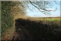 Green lane near Dobwalls