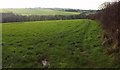 Field above the West Looe valley