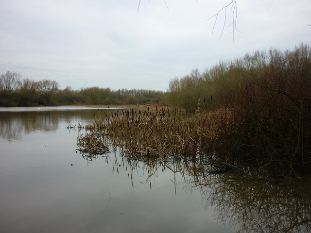 Pengy's pond, Pennington Flash (1)
