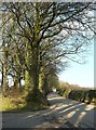 Road from Bokenna Cross