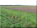 Crop boundary, on the western edge of Eggborough