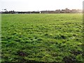 Paddock, north-east of Eggborough