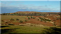 Nant-yr-arian and Mynydd Ffrorest