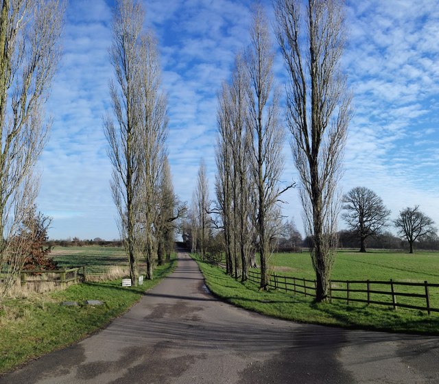 Rural Road near Wiggington