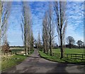 Rural Road near Wiggington