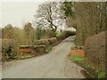 Bridge over the Dingle Brook