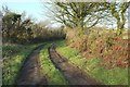 Green lane near Draynes