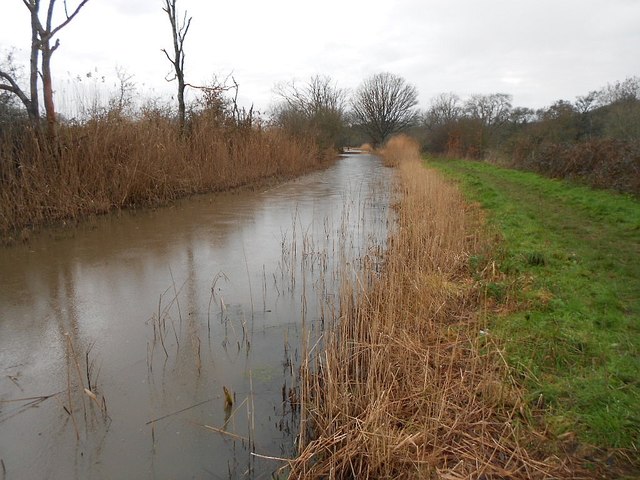 Wey and Arun Canal: Restored section near Drungewick Manor
