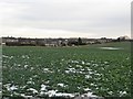 Arable field on the western edge of Pegswood