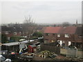 The rear of houses on Wolsey Street