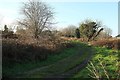 Track on St Cleer Downs