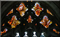TR1557 : Stained glass window, cloisters, Canterbury Cathedral by Julian P Guffogg