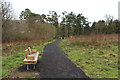 Seat on Alton Woods Path