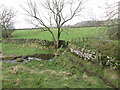 Footpath crossing Berry Ground Beck at Mawking Hole