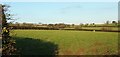 Sheep pasture near Wayland