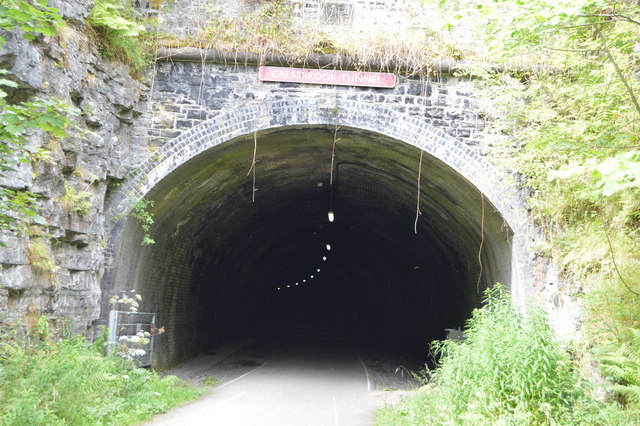 Cressbrook Tunnel, eastern portal