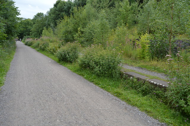 Platform, Monsal Dale Station