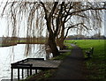 Warsop Mill Vicinity, Church Warsop, Notts.