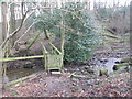 Footbridge over the beck in Lumb Gill Wood