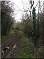 Footpath close to Rothwell