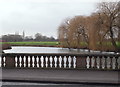 Mill Pond, Warsop Mill, Church Warsop, Notts.