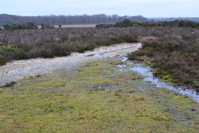 Junction of paths on Yew Tree Heath
