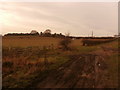 Track Junction near Stone Hill Farm