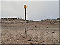 SD2708 : The Nicotine Path, Formby Beach by David Dixon