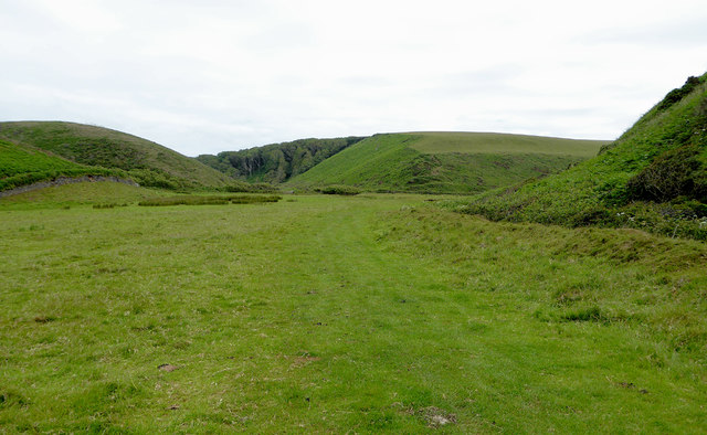 Pasture by St Catherine's Tor in Devon