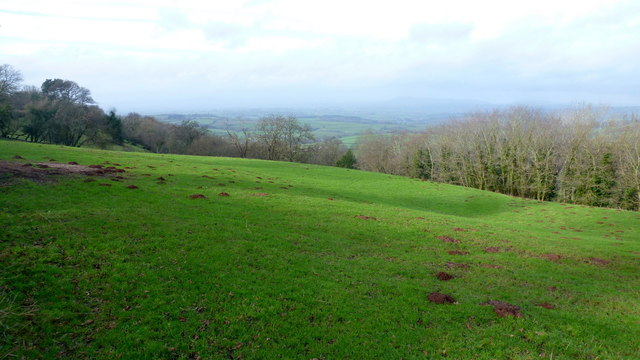 Pasture and woodland