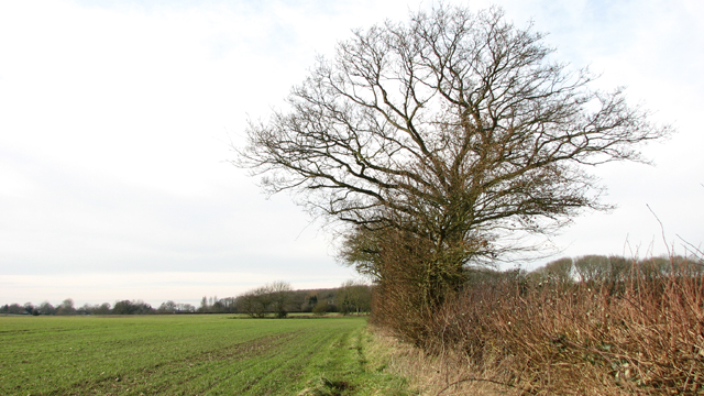 Footpath to Zig Zag Lane © Evelyn Simak :: Geograph Britain and Ireland