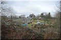 Allotments, Shalford