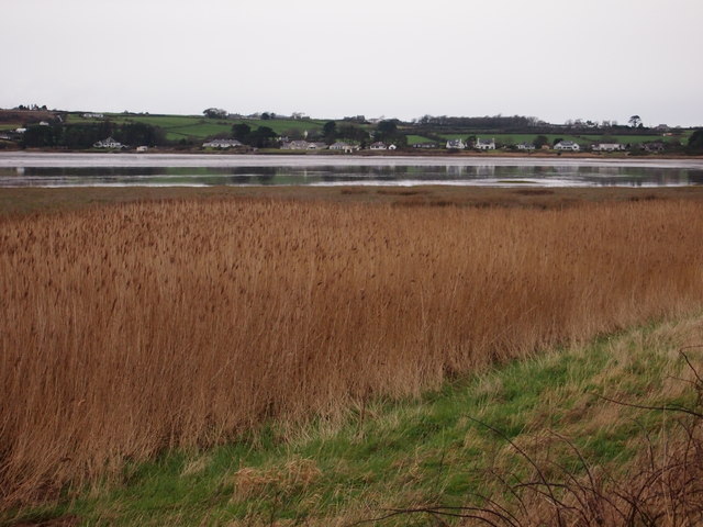 Edge of the Salt Marsh, Malltraeth