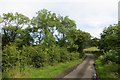 Yellow road, Glenhead