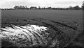 Wet field near Merrymeet