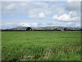 View towards Paddons and the Mendip Hills